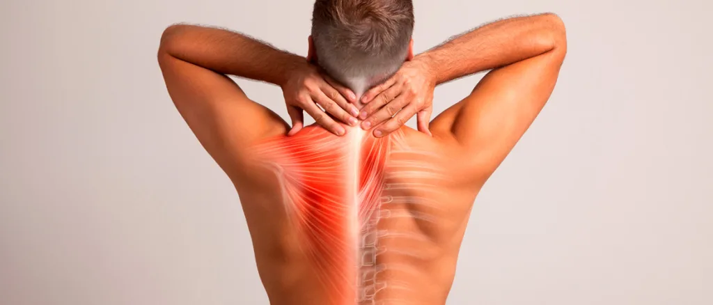 Entrenamiento con Dolor de Espalda en Madrid: Fortalece tu Cuerpo a Domicilio
